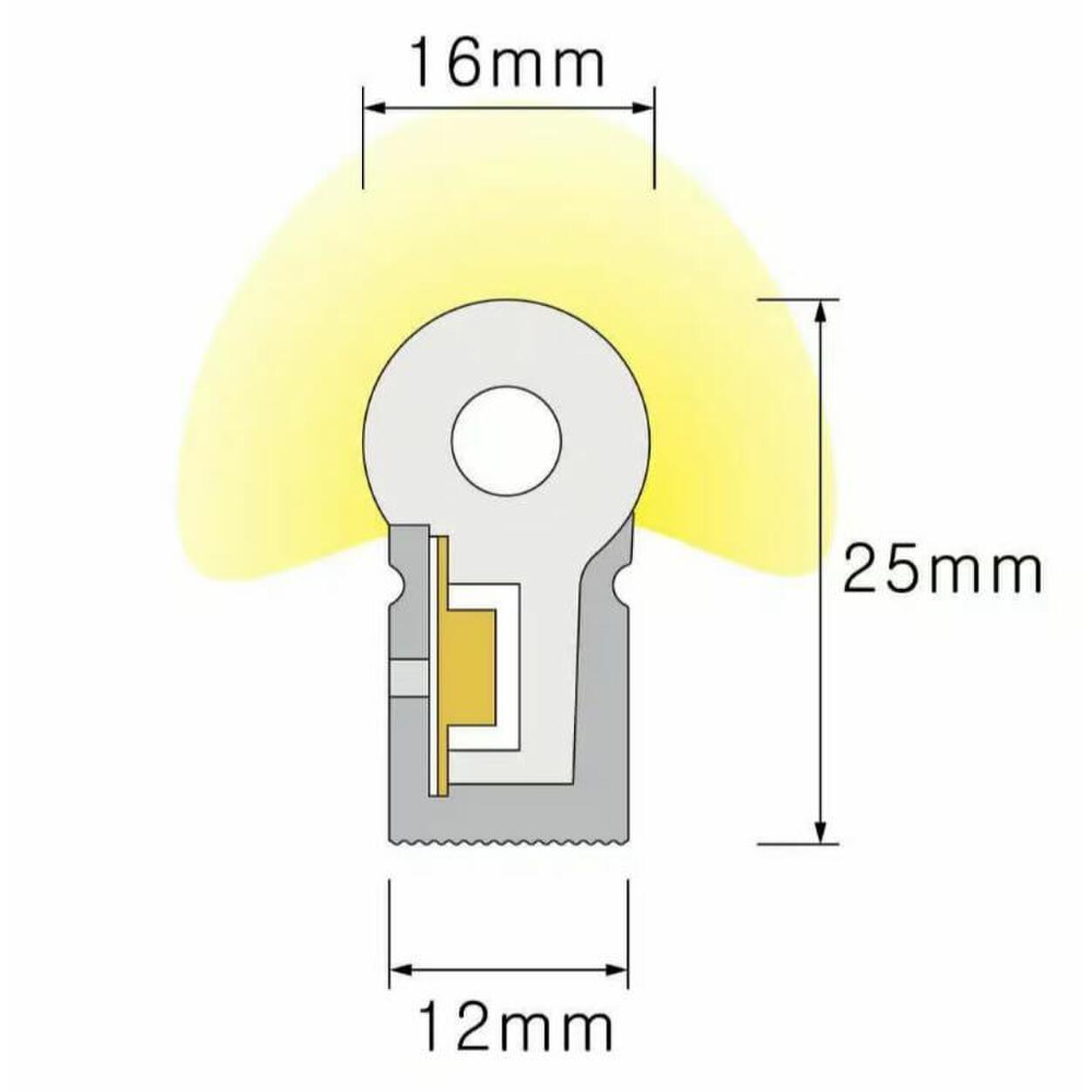 Silicone Neon Flex Side View 12x25mm 10W/m Color