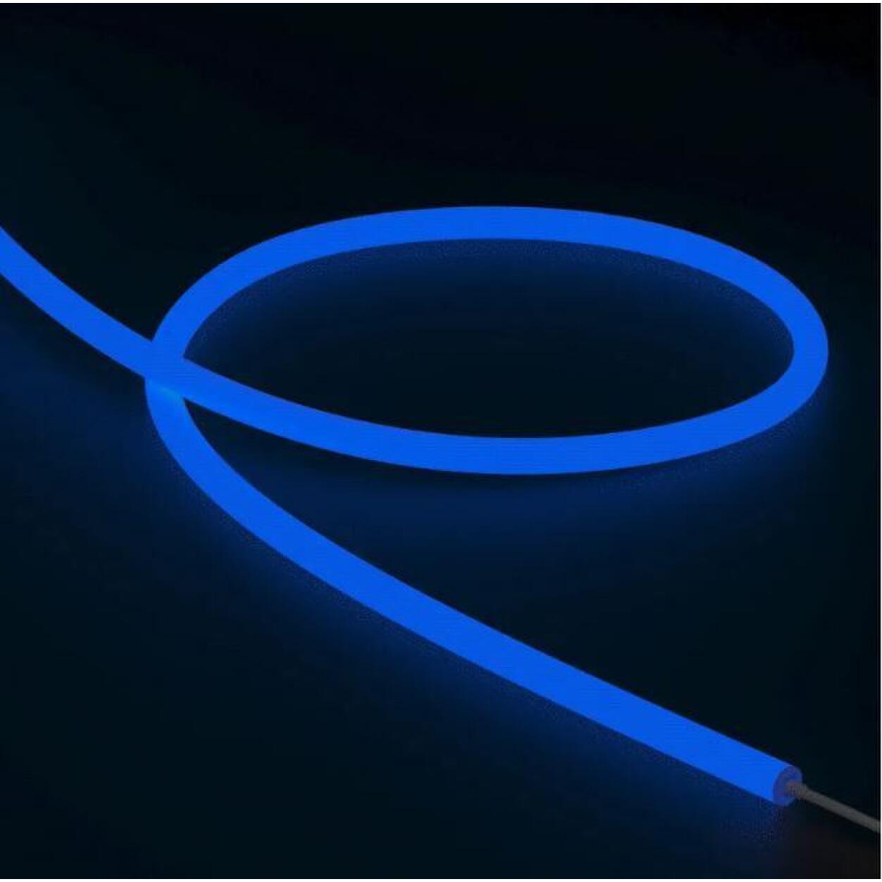360°Neon Flex Ø25mm 24V 10W Blue