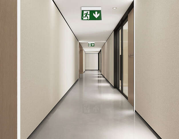 Emergency LED Lights
