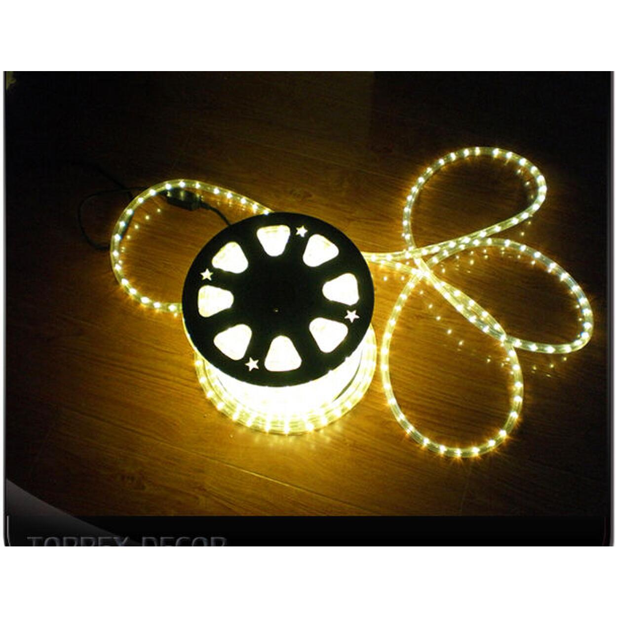 220VAC SMD LED Robe IP65 2400K