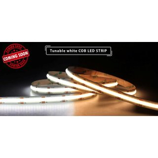 LED Strip COB  Tunable White 10mm 20W 24VDC