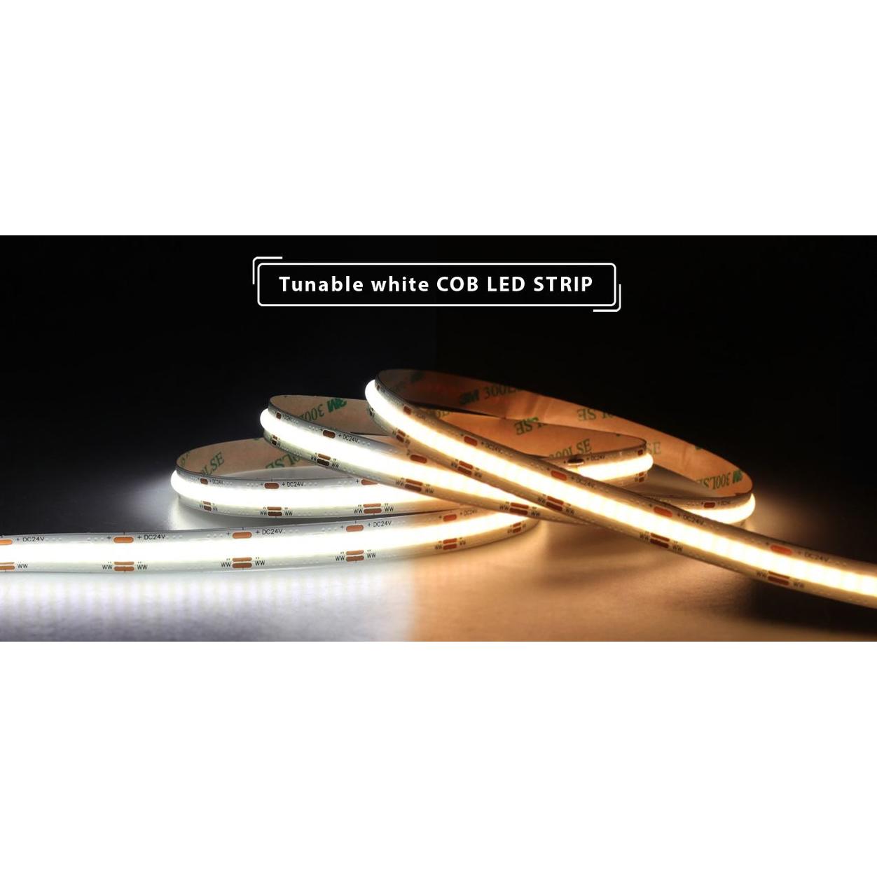 LED Strip COB 10mm 24VDC Tunable White IP20 15W 