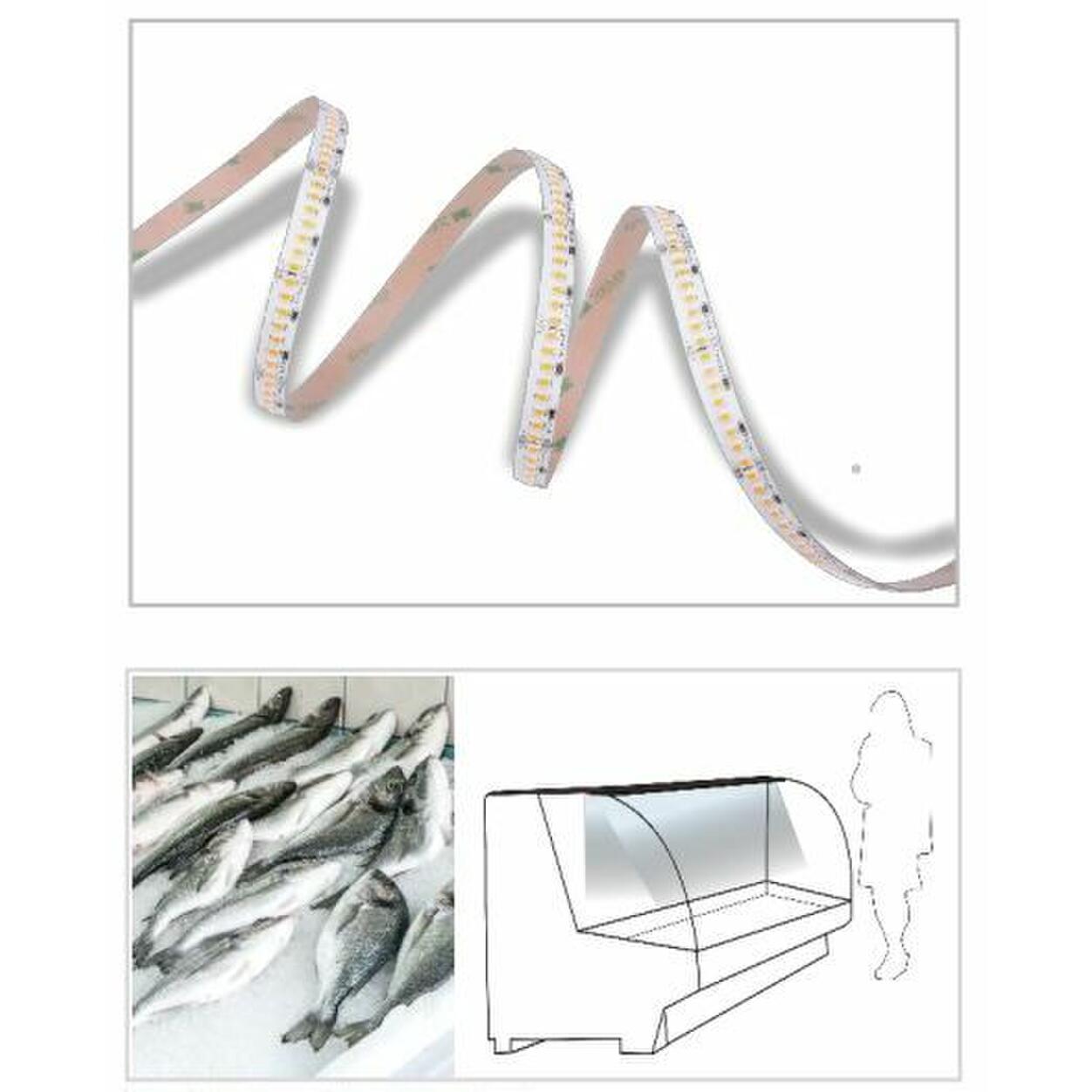 Fresh Food Light LED-Strip FISH