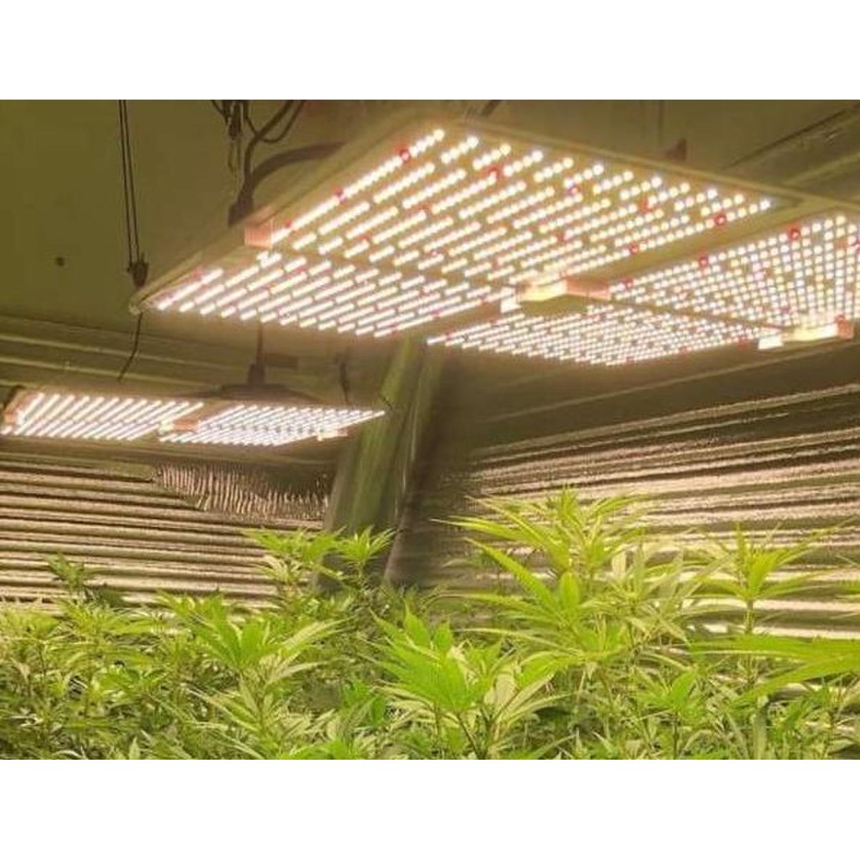LED Grow Panel Lights 450W
