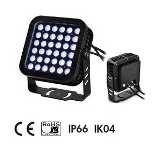 Garden Single Color LED Flood Light