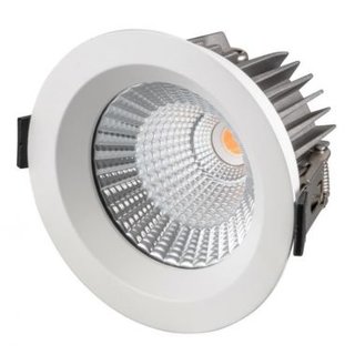 LED Downlight 24V module PWM Dimmable 12W TW (1800K....4500K)