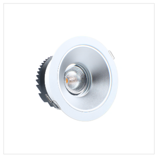 LED Downlight 12W