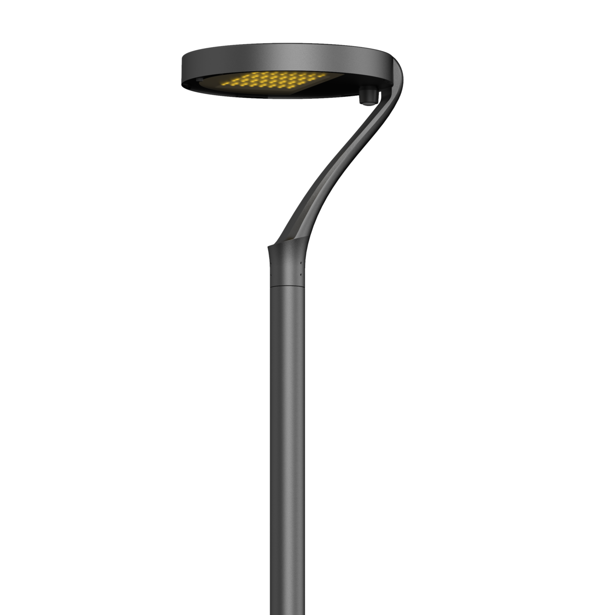 LED Park/Street Lights  ALLTP100