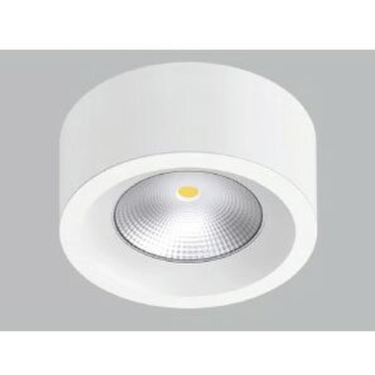 LED Spot Light 13W  Recessed & Surface Downlight 3000K