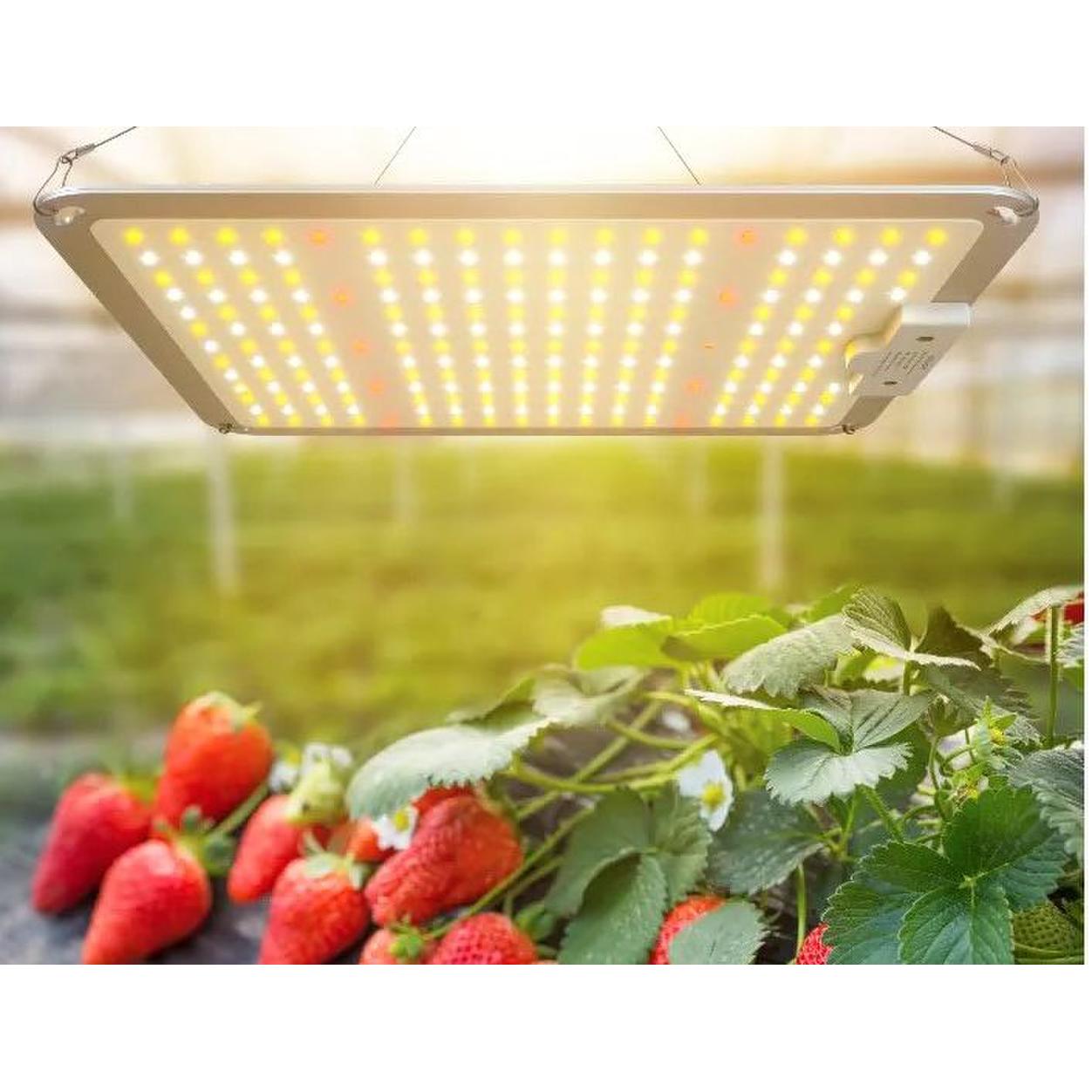 LED Grow Panel Lights 110W