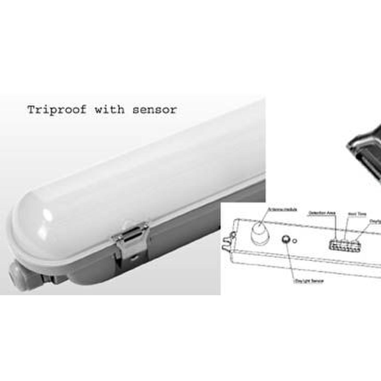 Tri Proof  Linaer LED 36W IP65 4000K with Sensor